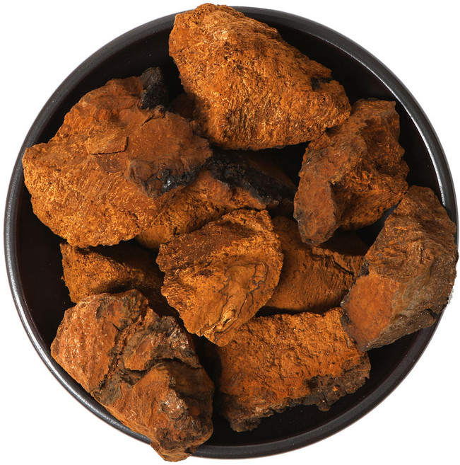 케이웰니스 러시아 차가버섯 1kg, 1개