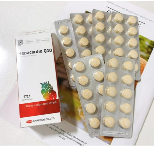 강아지 심장병약 고양이 노견 노령견 심장병 심장비대증 심부전 영양제 항산화 보조제 말티즈 푸들 포메라니안, 1개, 종합영양제, 60정