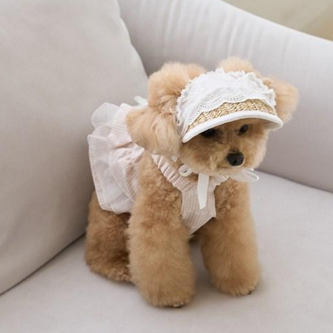 강아지 모자 여름 강아지 썬캡 고양이 모자 안벗겨지는 애견모자 레이스, 1개, 흰색