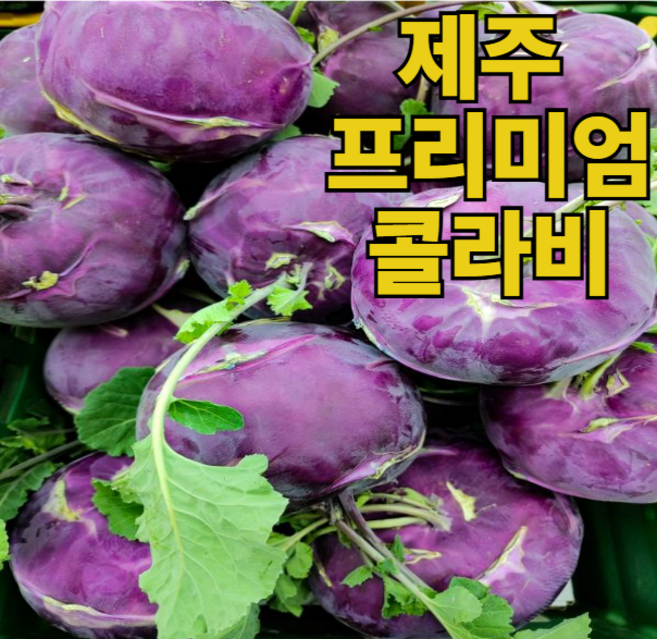 <가람> 콜리브리 품종 제주산 특품 콜라비 타사와 다른 신선함, 1개, 10kg