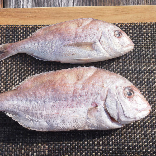 [해동찬가] 자연산 반건조 참돔, 2개, 500g