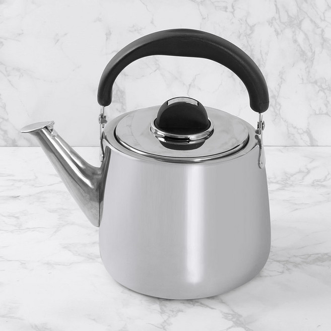 키친아트 와이드 스텐 주전자 DO 휘슬 케틀 포트, 1개, 3L