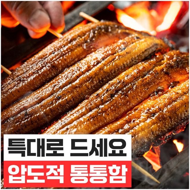 푸드지 산지직송 자연산 바다장어 특대 통영 손질, 1개, 1kg