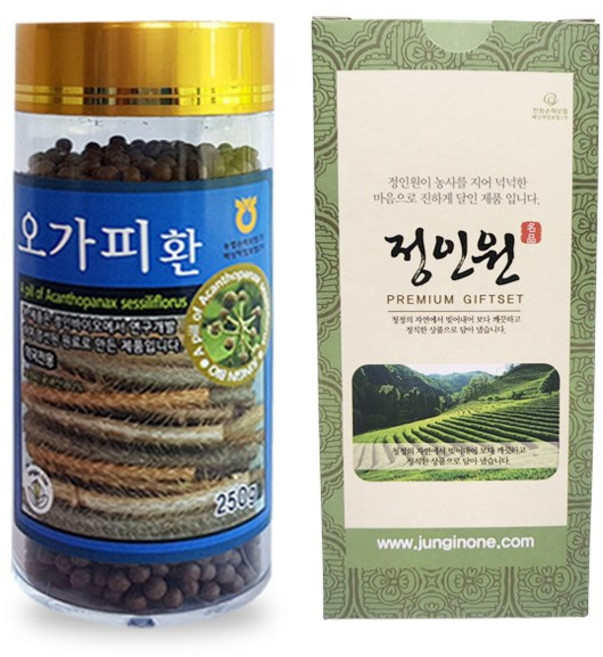 오가피환 국내제조 haccp인증업체 약국판매제품 제조사직접판매제품 정인바이오, 250g, 1개