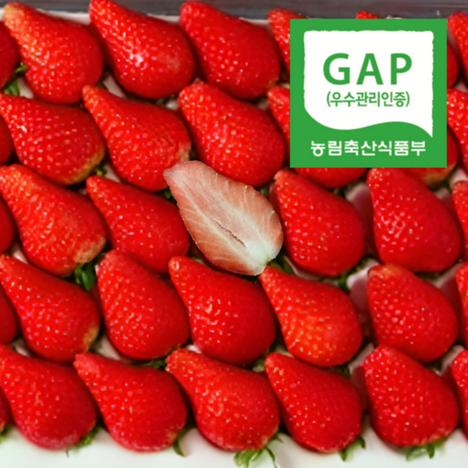 [산지직송] 초고당도 설향 딸기, 1세트, 500g