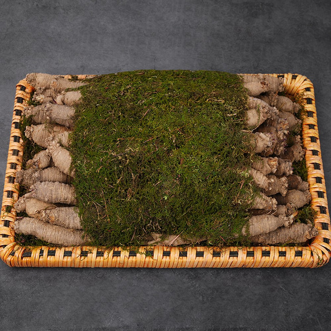 윤플러스 강원도 횡성 더덕선물세트 1호 1kg (18~25개), 1개