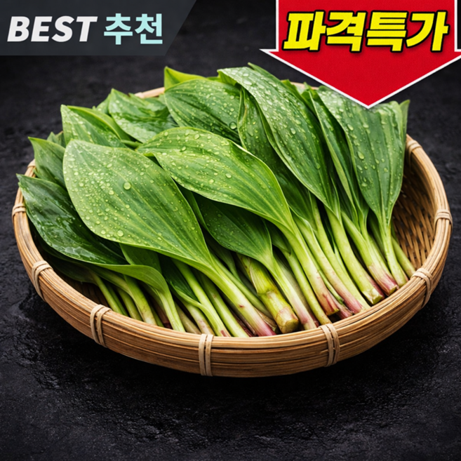 [명이농사만30년째] 산지직송 국산 명이나물 명이, 1박스, 1kg