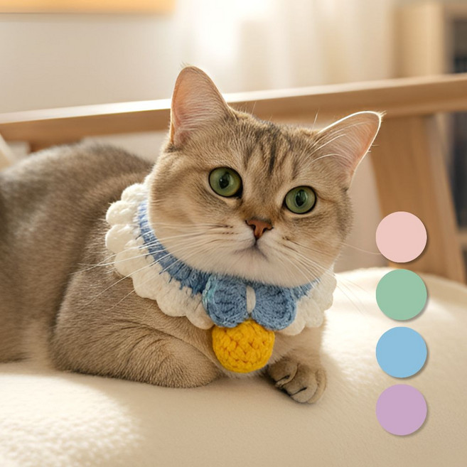 블루밍유 강아지 고양이 니트 방울 케이프, 1개, 스카이블루