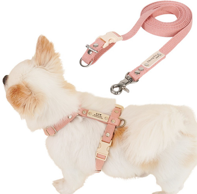 [패키지할인] [하네스 무료이름각인] 앞섬방지 강아지 하네스 H형 가슴줄 + 핸즈프리 리드줄 세트, 인디핑크, M, 20mm 2.5M