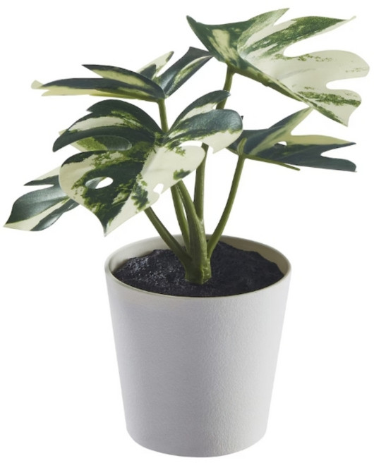 이케아 조화 인조식물 초미니 사이즈 ~20, 몬스테라(14cm), 1개