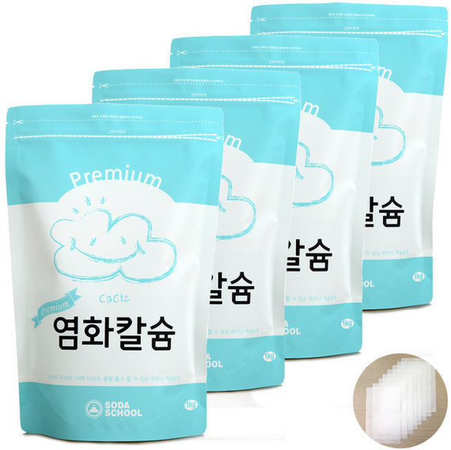 제습제 리필 프리미엄 염화칼슘 +방수투습지, 4개, 1kg