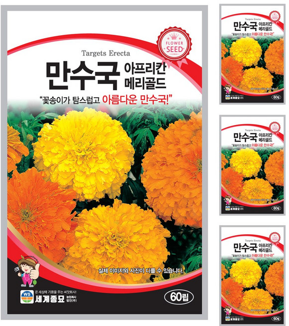 만수국 씨앗 꽃씨 60립 메리골드 꽃씨앗 세계종묘 모칸도, 4개