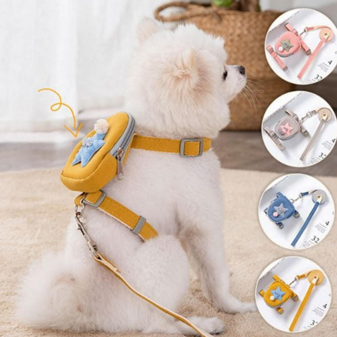 애견 강아지 외출 산책용 미니 백팩 가방 귀여운 가슴줄 리드줄 소형견 하네스, M_블루, 1개
