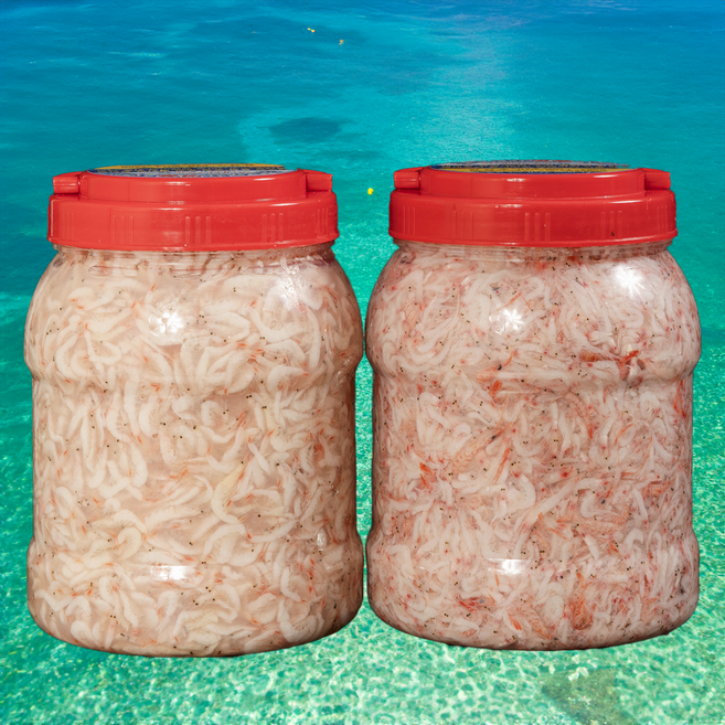 [신안수산물] 신안군 새우젓 김장용 새우 젓갈 오젓, 1개, 3kg