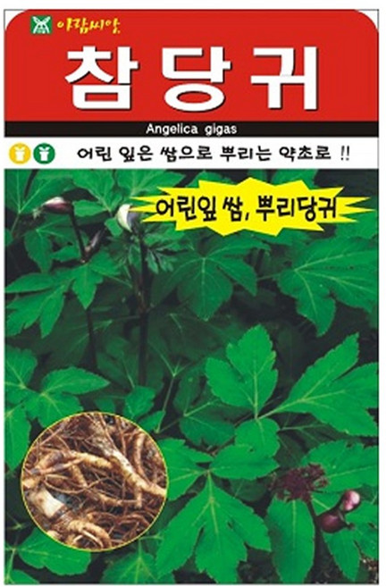 아람씨앗 참당귀200립 씨앗, 1개