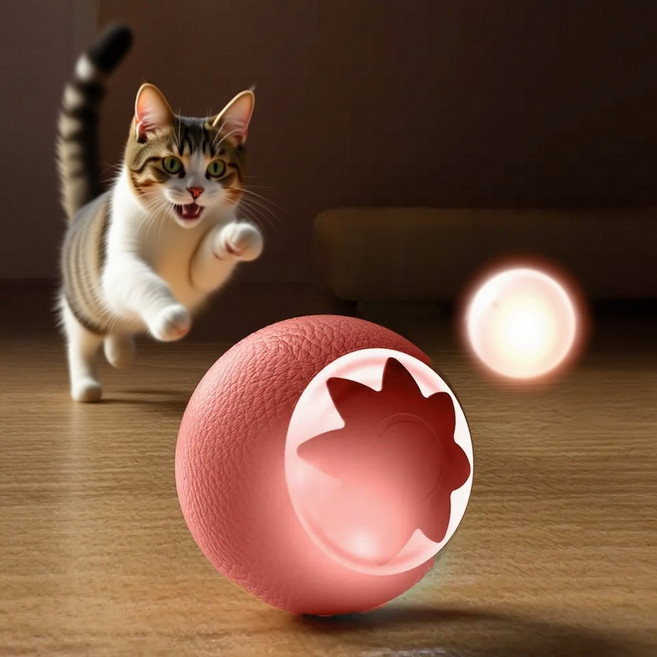 윈티크 고양이 불빛 스마트볼 잡기 오렌지 장난감, 1개, 핫핑크