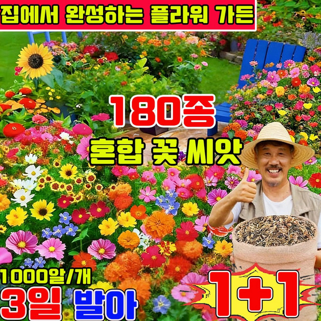 플라워가든 프리미엄 씨앗 노지 월동 다년생 꽃 씨앗 4계절 꽃 씨앗 혼합 꽃씨앗 꽃바다조합씨앗 집에서 완성하는 플라워 가든 프리미엄 씨앗 세트, 2개