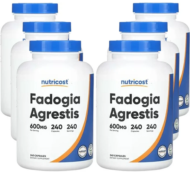 뉴트리코스트 파도기아 아그레티스 600mg 240캡슐, 6개, 240정 - 쿠팡