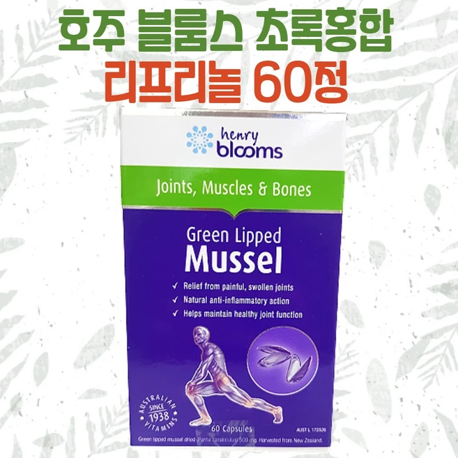 뉴질랜드 블룸스 초록홍합 60정 초록잎홍합 리프리놀, 1개 - 쿠팡