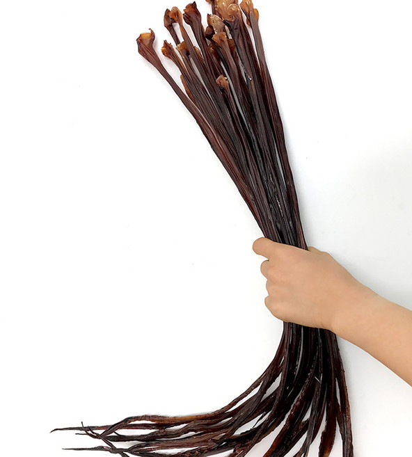 대왕오징어 롱다리 300g 문어발 오징어다리 혼술 술안주 롱다리 대왕발, 2개, 150g