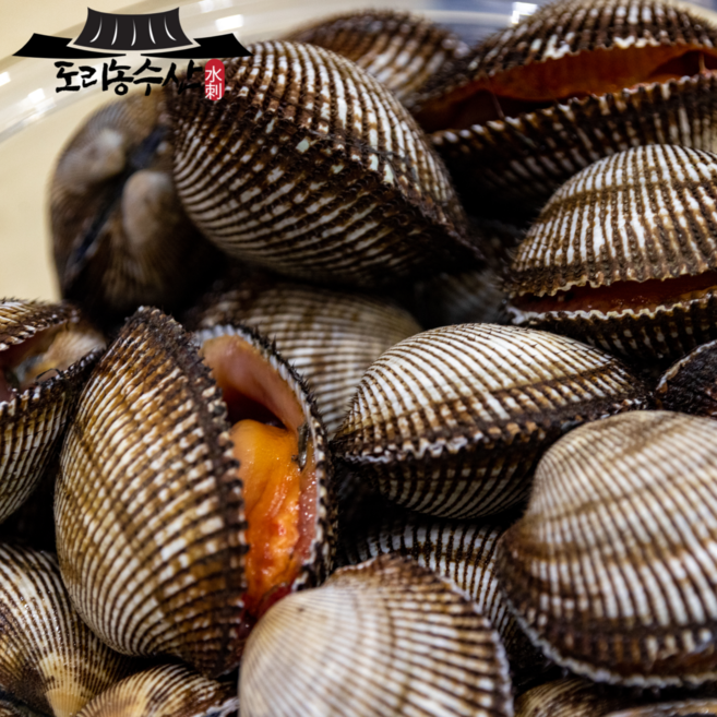 국내산 피조개 피꼬막 3kg, 1개