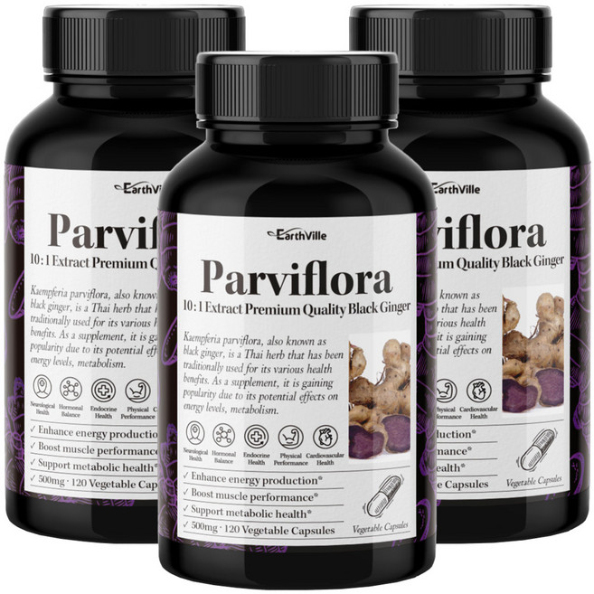 어스빌 파비플로라 흑생강 10배농축 추출물 500mg 베지캡슐 4개월분, 3개, 120정