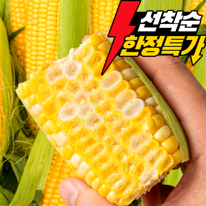 국내산 햇 초당옥수수 고당도 찰옥수수 산지직송, 1박스, 초당옥수수(중상15개)