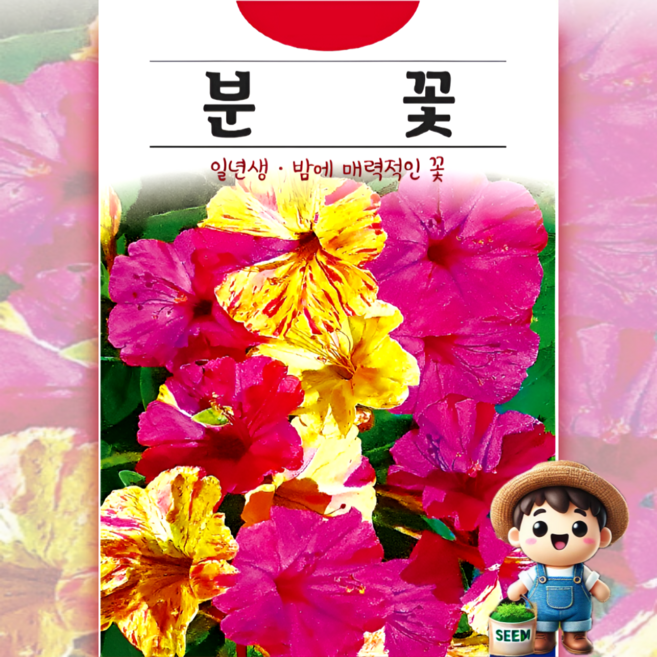 분꽃 20립 일반종 일년생 허브 꽃씨 씨앗 종자, 1개