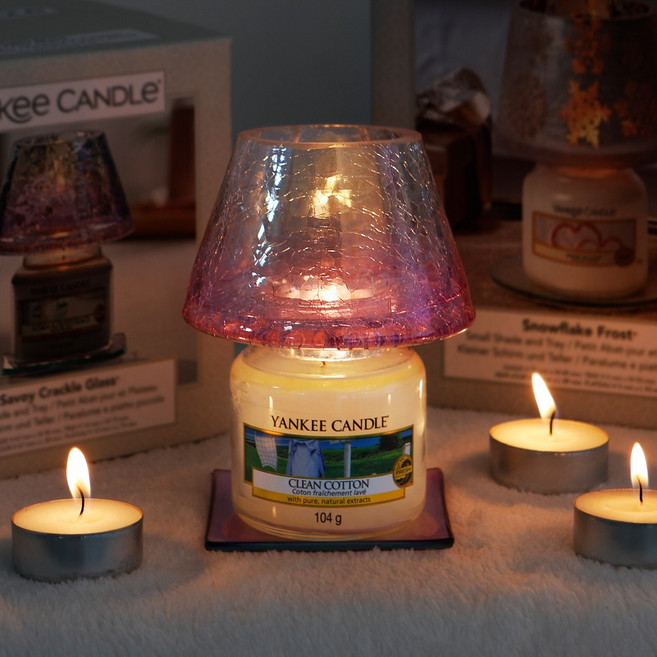 양키캔들 병향초 소 자쉐이드 캔들트레이 세트, 02 스노우플레이크 프로스트, 03 레몬 라벤더, 1개, 104g