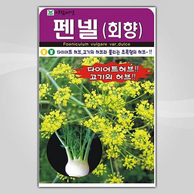 슬로시 허브씨앗 펜넬 400립, 1개
