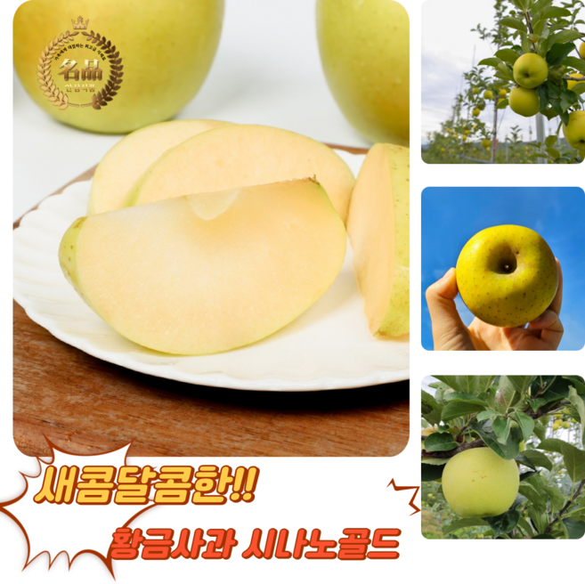 [굿피플] 시나노골드사과 황금사과 골드사과 노란사과, 1박스, 시나노골드(가정용) 1kg 중과