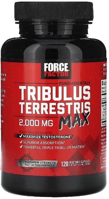 포스팩터 트리블러스 Fundamentals Terrestris 맥스 2000mg 120정, 1개, 기본 - 쿠팡