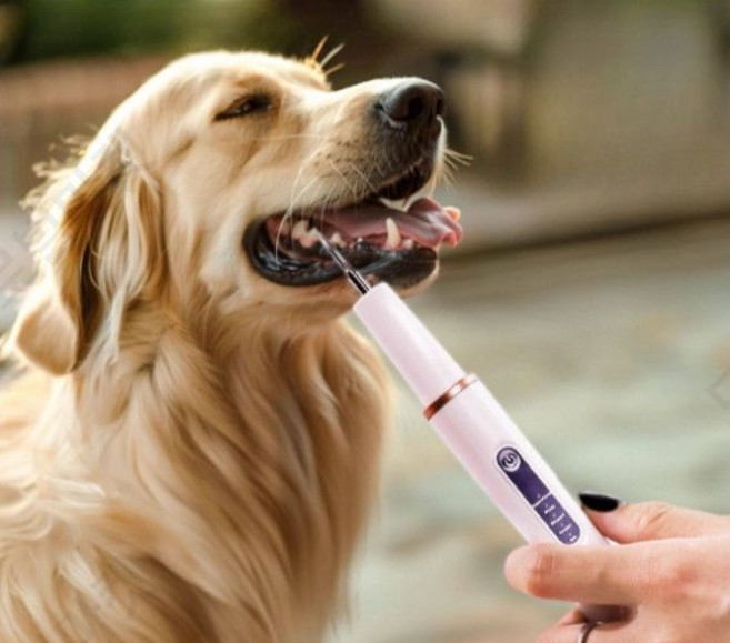 강아지치석제거기 스케일링기계 저소음 노령견 입냄새제거 고양이 셀프 치석 애견 제거기 칫솔 양치 전동 치석제거기 휴대용 가정용 셀프 스케일링 치아관리 구강세정기 부드러운칫솔 음파칫솔, 1개, 오단 존경판 치석 제거기 화이트