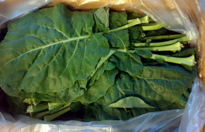 [산지직송] 유기농 즙용 케일 1kg 2kg 친환경 케일즙용 즙용케일 유기농케일 케일 쌈케일 케일유기농 쌈채소 친환경케일 쌈 kale, 1개