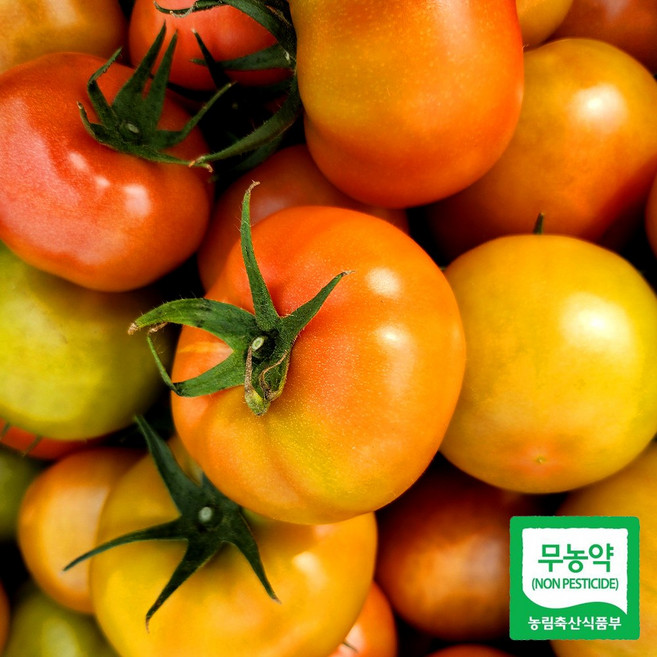 친환경 무농약 완숙 찰 토마토, 완숙 찰토마토 5kg 1번과, 1개