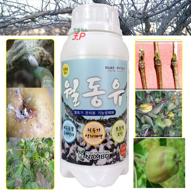 기계유유제 기계유제 월동유 500ml +계량컵+식물 고정타이 세트 액비 월동 과수 나무 동해 방지 벌레 퇴치 기계유 꽃눈 영양제 새순 나무 보호 코팅 오일 유실수 냉해 사과 배 감, 1개