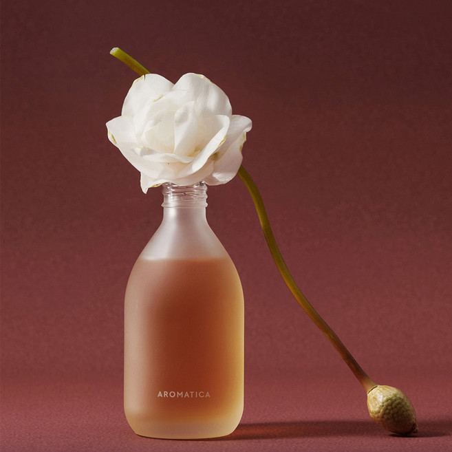 아로마티카 멜로우니스 디퓨저 매그놀리아&샌달우드 100ml, 단품, 1개