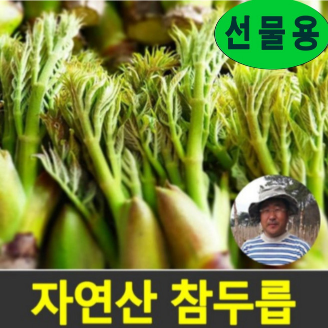 [선물용 ] 최상품 순창 자연산 참두릅 첫순 1kg(500gx2팩) 굵고 보두라운 참두릅, 2팩, 참두릅 500g