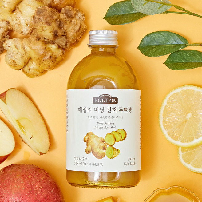 루트온 자연 그대로! 데일리 버닝 진저 루트샷, 1개, 380ml