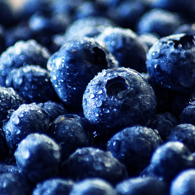 냉동 블루베리 cn, 2개, 1kg