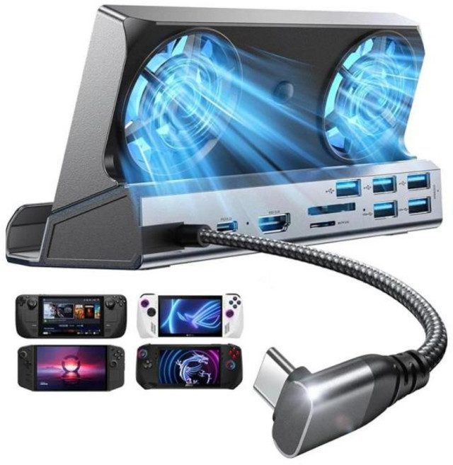 도킹스테이션 호환 스팀 데크용 도킹 스테이션 ROG Ally & Legion Go 듀얼 냉각 선풍기 5 USB 포트 Ally용 100W 충전 13 in 1, 01 그레이, 01 GRAY