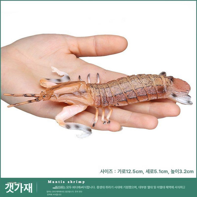 황새치 모형 피규어 작은 바다 생물 미니어쳐, 피피새우, 1개