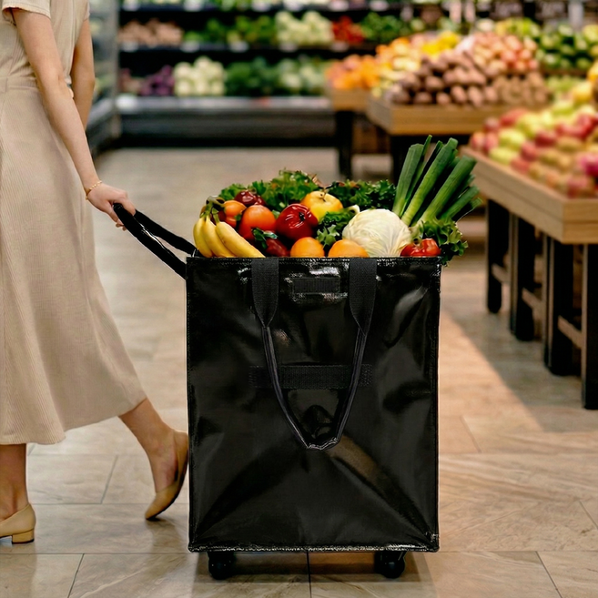 AEGEN 더 부드러운 바퀴탈착 캐리어 접이식 장바구니 여행 쇼핑카트, 블랙, 1개