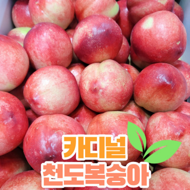신비 천도 복숭아 카디널 딱딱 백도 산지직송, 2kg(14~22과), 1개