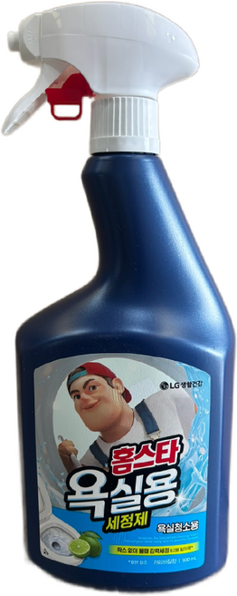 홈스타 맥스프레쉬 욕실용 세정제, 900ml, 9개