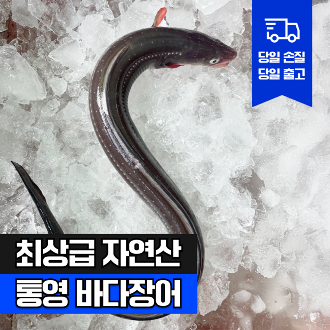 [참참밥상] 통영 자연산 특대 손질 바다장어 붕장어 아나고 산지직송 장어구이 보양식 추천, 1개, 2kg (약 2~8미)