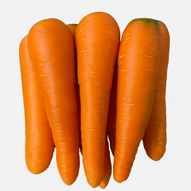 신선한 업소용 요리용 주스용 세척 당근 5kg 10kg [노블프레쉬], 세척당근 5kg, 1개