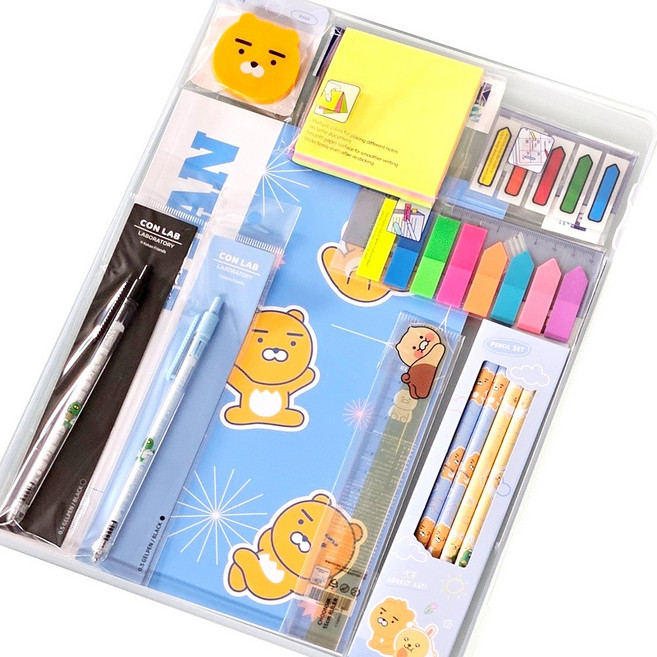 카카오프렌즈 알뜰 문구 세트 투명 화일케이스 패키지, 라이언, 1개