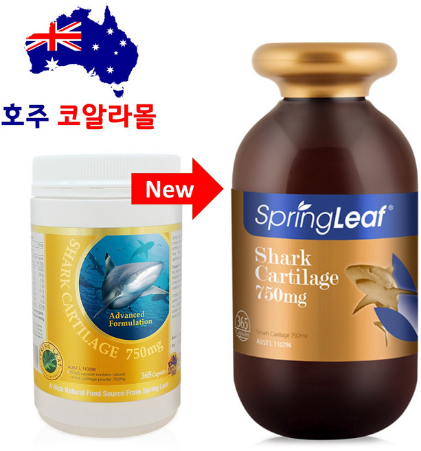 호주코알라몰 스프링리프 상어연골 365캡슐 콘드로이친 Shark Cartilage Condroitin, 365정, 1개