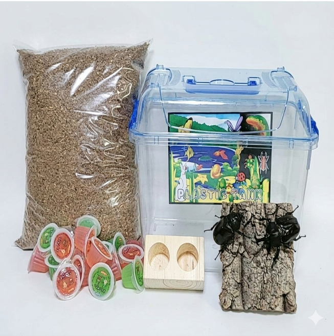 장수풍뎅이 사슴벌레 사육세트, 선택2, 1세트, 2. 장수풍뎅이 성충 대형 세트